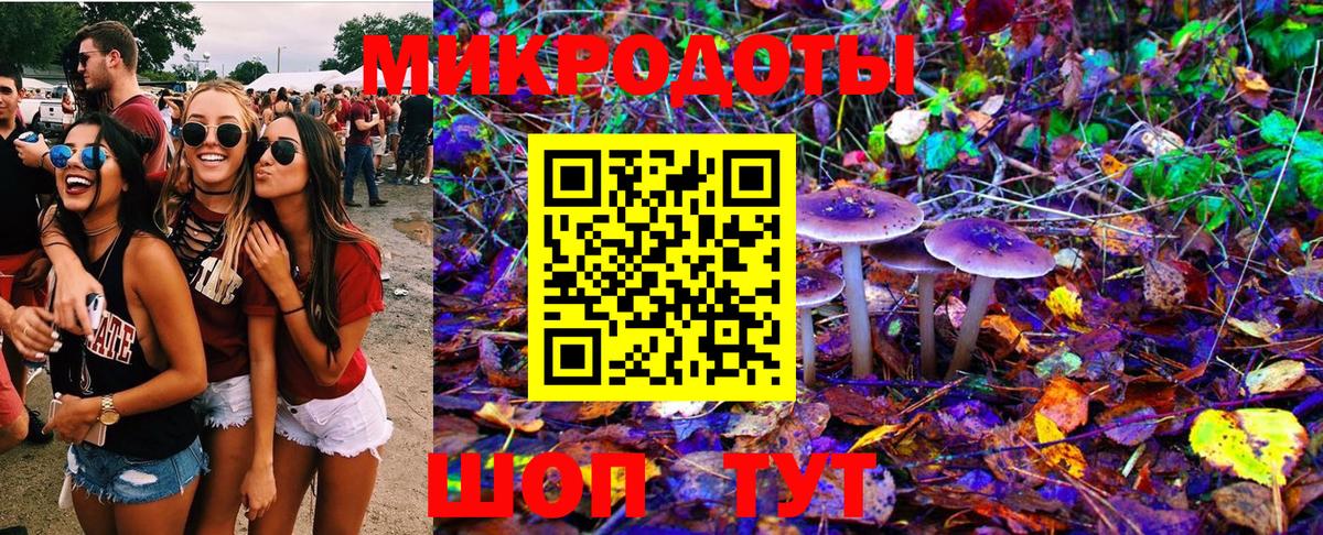 Псилоцибиновые грибы Psilocybe Алейск