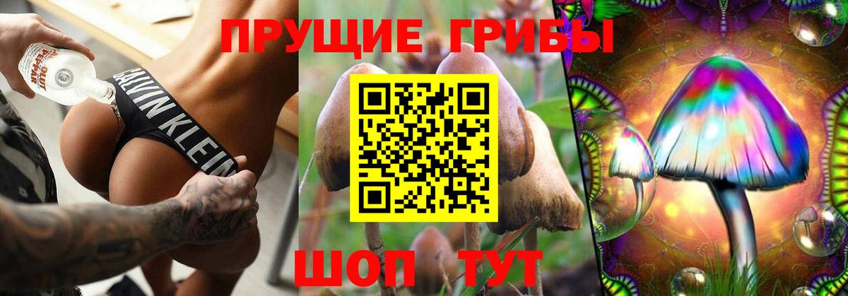 Алейск  закладка  Вход с VPN  Псилоцибиновые грибы мицелий 